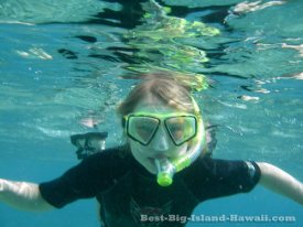 Big Island Snorkeling Hawaii